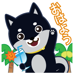 ムサシ19メイン画像