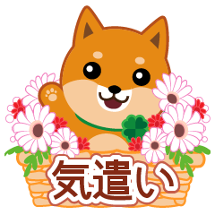 ムサシ21メイン画像