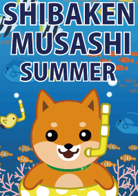 着せ替えの表紙